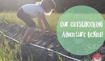 Our Wildschooling Adventure Begins!